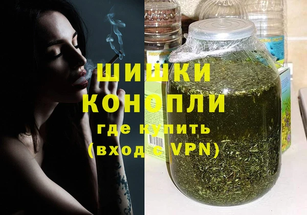 прущие грибы Арсеньев