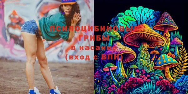 ECSTASY Аркадак