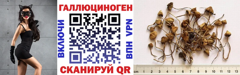 наркотики  Барабинск  блэк спрут зеркало  Галлюциногенные грибы мицелий 